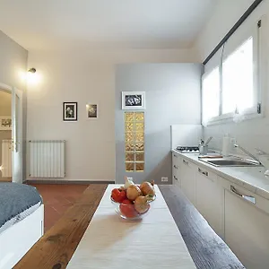central-pitti-studio-flat.it-tuscanyhotel.com/
